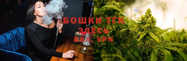 трава Горнозаводск