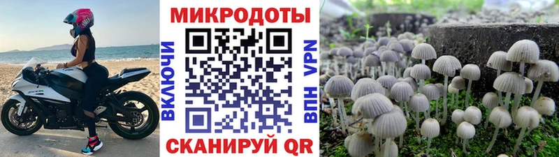 даркнет сайт Москва Галлюциногенные грибы Cubensis