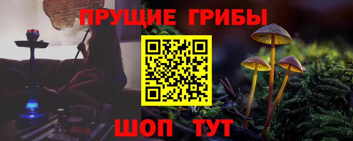 Галлюциногенные грибы Psilocybine cubensis  Вход с VPN  Москва 